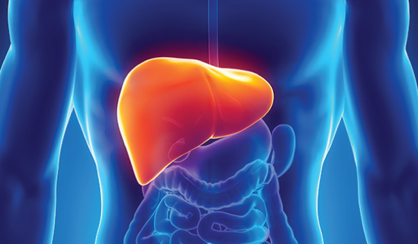 Hematology Department