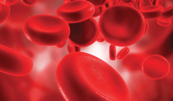 Internal Medicine Department