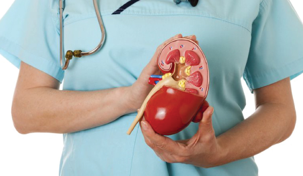 Nephrology Department